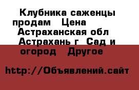 Клубника саженцы продам › Цена ­ 45-70 - Астраханская обл., Астрахань г. Сад и огород » Другое   